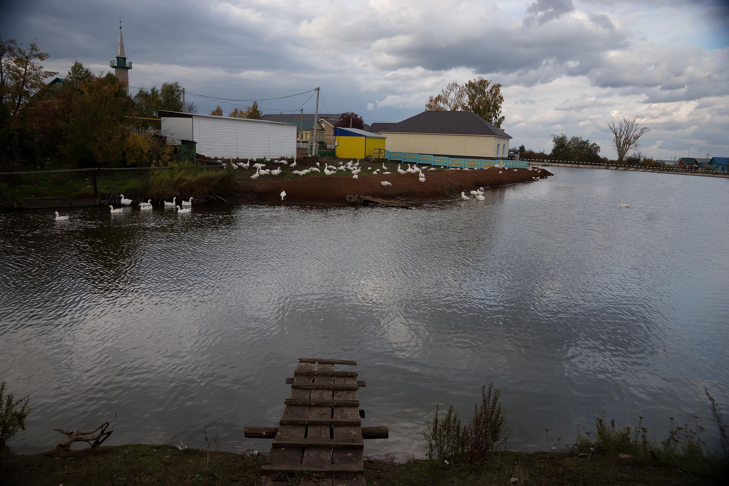 Новошешминский Район Фото