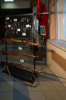 Стенд со стрелковым оружием Wehrmacht