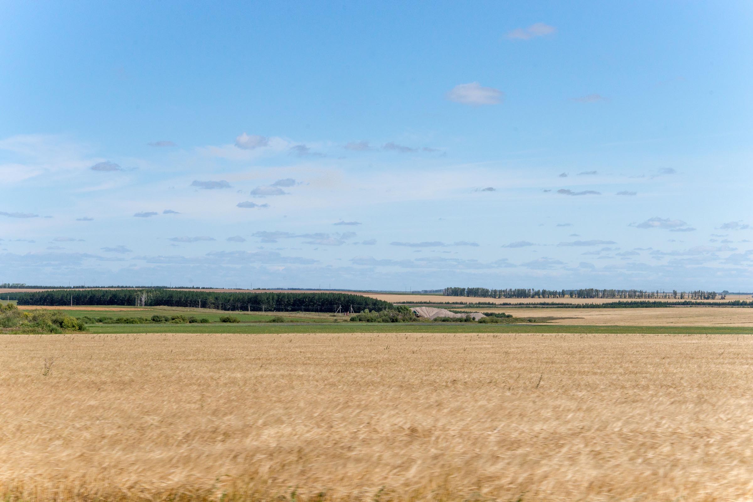 Холмистая местность ташкент. Field 00. Гороховое поле. Field 00. Лакинск гороховое поле.