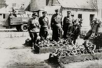 Фото. У могилы Ракова П.И.  г. Форст.Германия. апрель, 1945