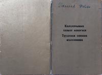 Трудовая книжка Галиева Ф.А. 1961 – 1993