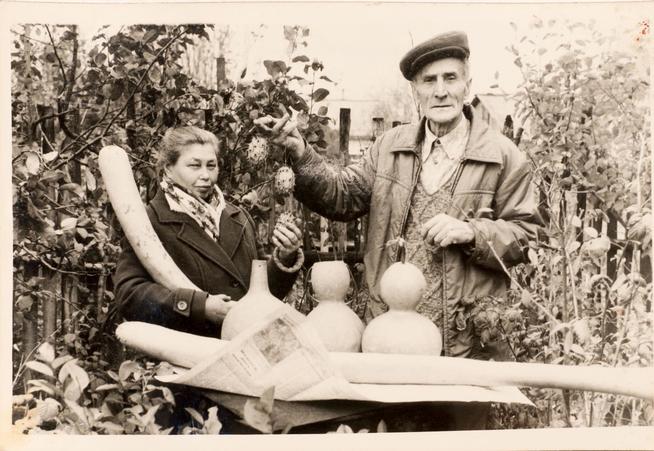 Фото. Трофимов П.В.- участник Великой Отечественной войны, с женой Трофимовой Н.А. 1970-е::МБУК «Централизованная музейная система «Аксубаевский краеведческий музей» g2id24526