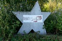 Звезда – памятник латышским детям, умершим в годы Великой Отечественной войны в эвакуации. Село Большой Менгер. 2014