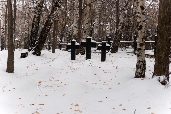 Территория с захоронениями иностранных военнопленных, умерших от ран и болезней в 1941-1946. г. Зеленодольск. 2014::Зеленодольский район g2id33812