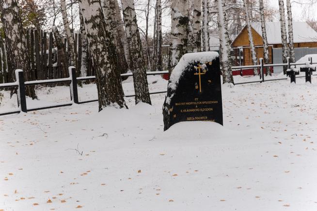 Памятник венгерским военнопленным на немецком кладбище. г. Зеленодольск. 2014::Зеленодольский район g2id33816