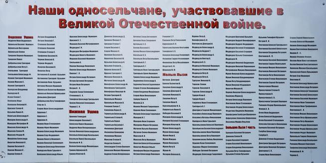Памятник павшим землякам в годы Великой Отечественной войны. Списки погибших.с.Малые Лызи.Балтасинский муниципальный район. 2014::Балтасинский район g2id1451