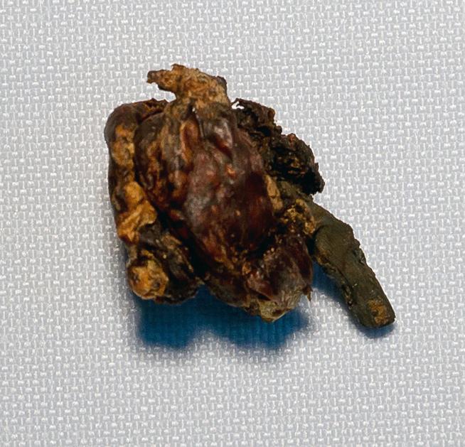 ::МБУ «Краеведческий музей «Дружбы народов» с. Ципья g2id2953