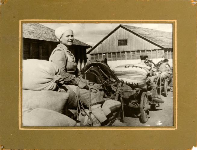 Фото. Вывоз хлеба. Буинский район. 1941-1945::МБУ «Буинский краеведческий музей» Буинского муниципального района Республики Татарстан g2id14564