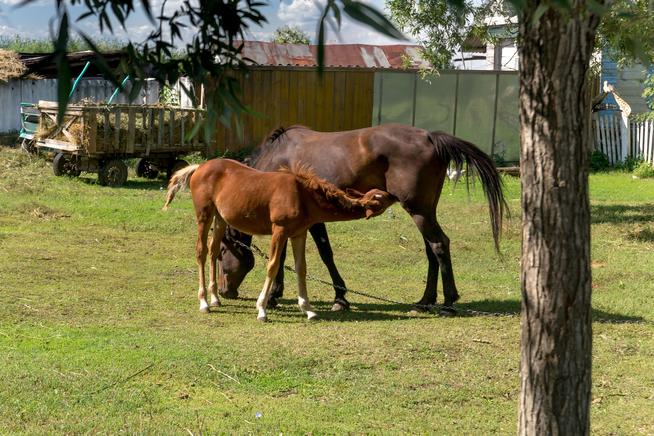 ::Кайбицкий район g2id15828