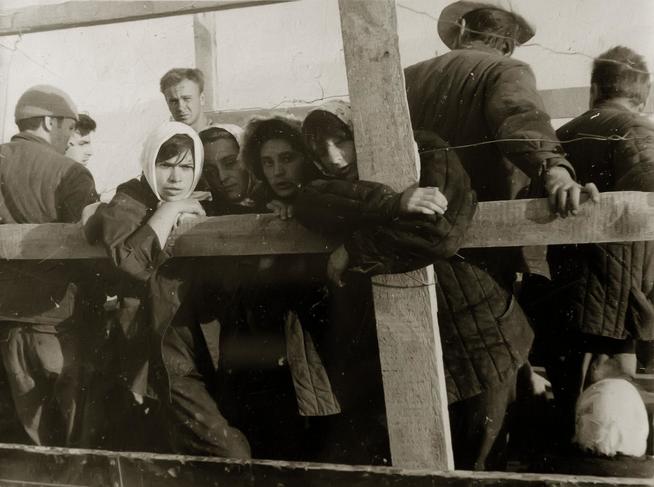 Фото. Студенты КАИ плывут на барже до Тетюш на строительство оборонных сооружений.1941::Музей истории КНИТУ-КАИ g2id37123