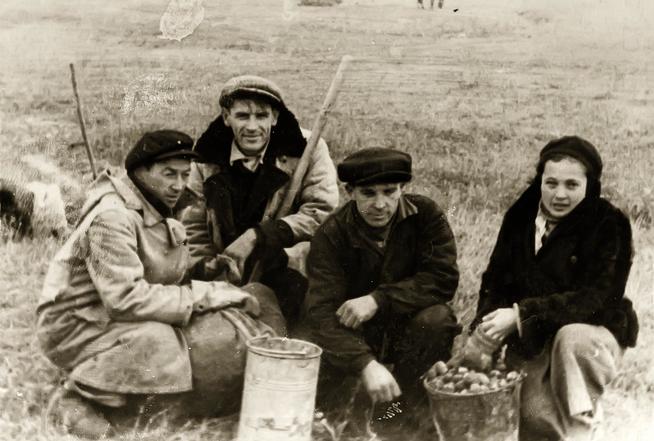 Фото. Преподаватели и сотрудники  КАИ на сельхозработах. 1941::Музей истории КНИТУ-КАИ g2id37131