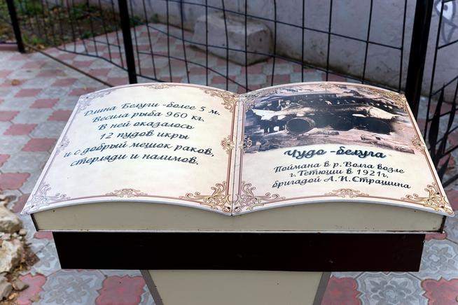 Книга с исторической справкой о чудо-рыбе. Постамент с книгой расположен рядом с памятником белуге. Тетюши::Тетюшский район g2id19077