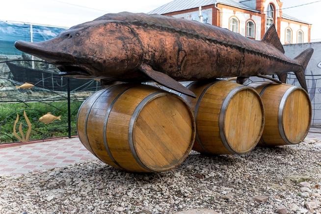 Памятник белуге, РТ, Тетюши, 2014::Тетюшский район g2id19081