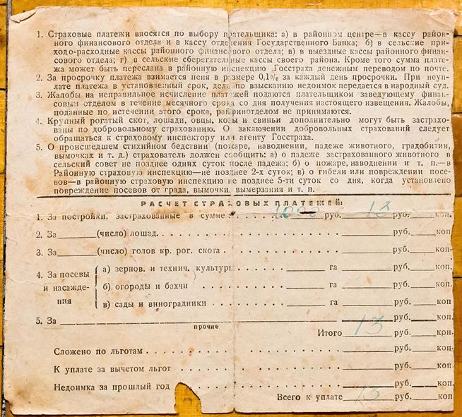 ::Личный архив Городиловой Г.А. g2id19970