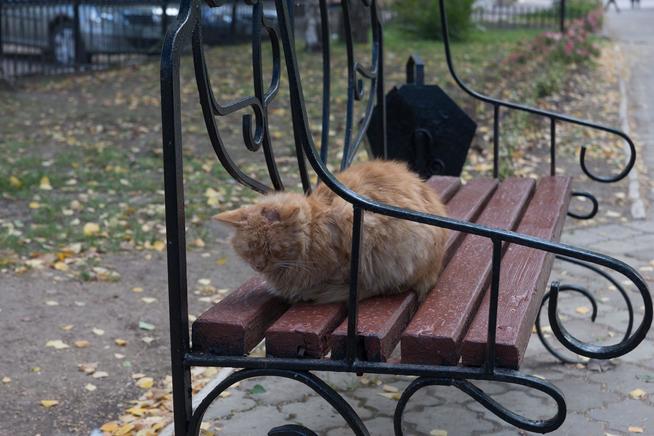 ::Менделеевский район g2id22927