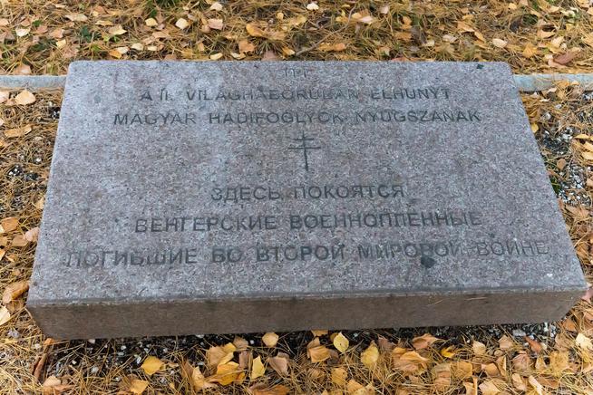 Мемориальная плита. Елабуга, кладбище, ул. Тугарова::Елабужский район g2id36267