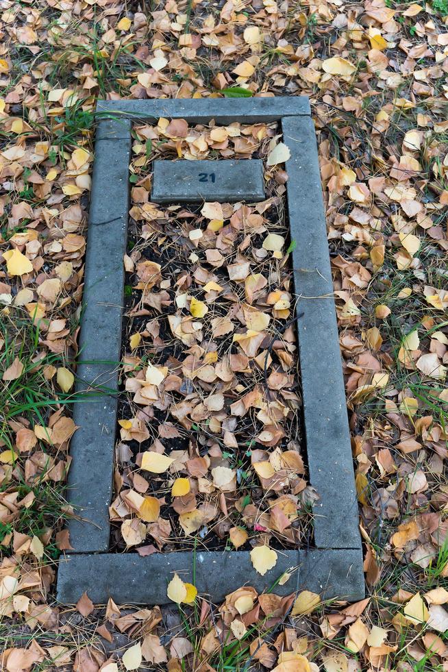 ::Елабужский район g2id36303