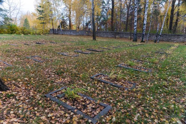 ::Елабужский район g2id36307