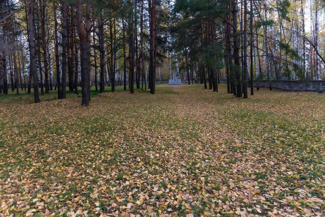 Японское кладбище, Елабуга, Тугарова::Елабужский район g2id36315