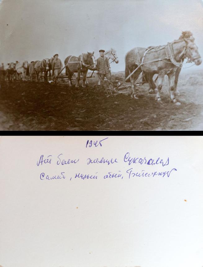 Фото №4589. Фото. Колхозники на пахоте, 1945