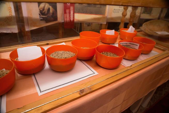 ::МБОУ «Татарско-Кандызская СОШ» Бавлинского муниципального района РТ g2id25472