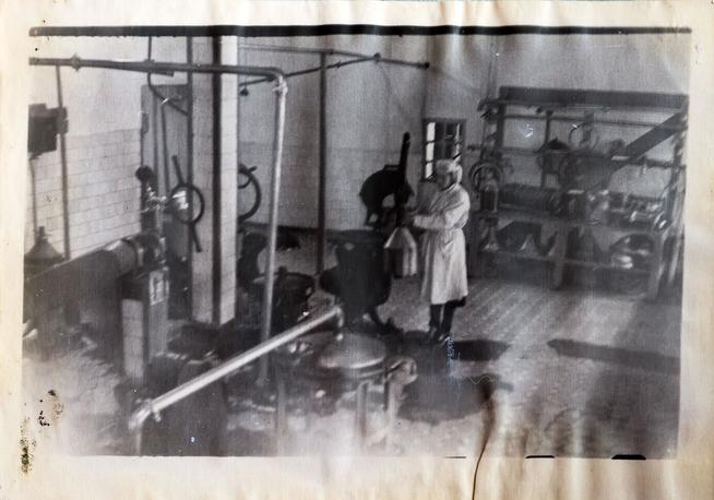 ::Алексеевский молочно-консервный завод g2id9815