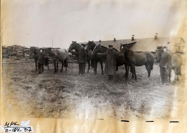 ::Алексеевский молочно-консервный завод g2id9863