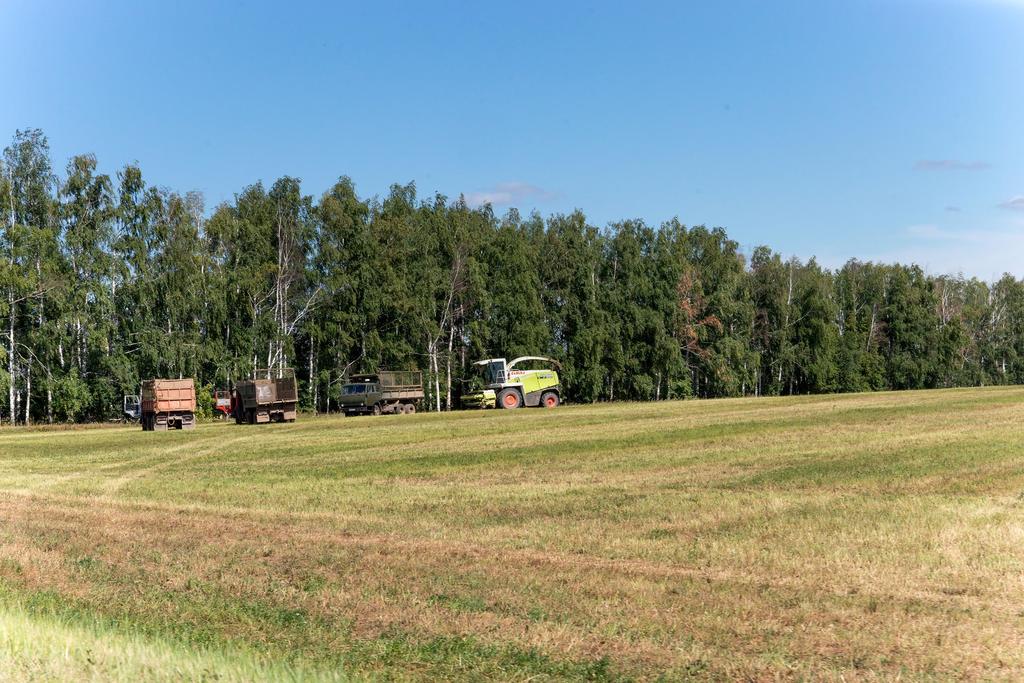 Сабинский Район Фото