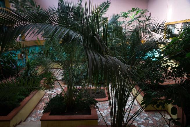 ::ГОУ СОШ 44, Историко-краеведческий музей «Слава» g2id31811