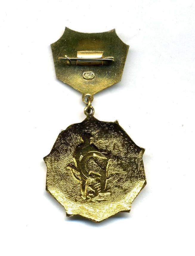 НМРТ КПНу-34720  ЗСН-41 Знак наградной-юбилейный  25 лет Победы в Великой Отечественной войне 1941-1945 гг  _2::Сыртланова М.Г. g2id86231