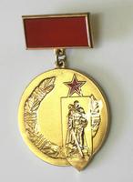 НМРТ КПНу-34721  ЗСН-43 Знак  Памятная медаль  Советский комитет ветеранов войны _1