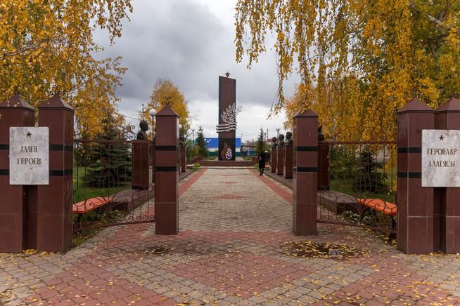 ::Черемшанский район g2id87009