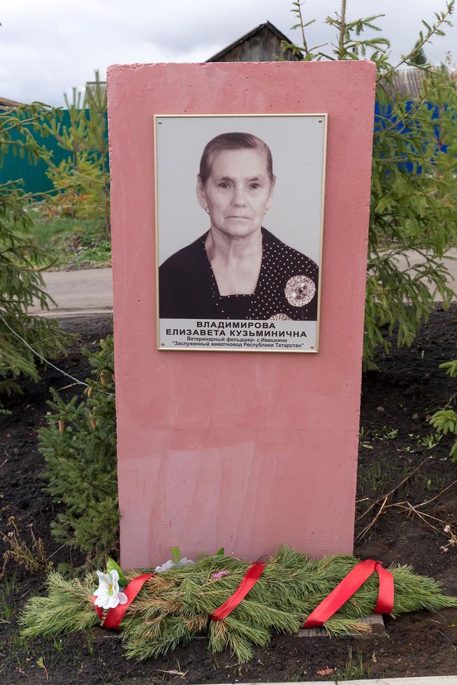 ::Черемшанский район g2id87039