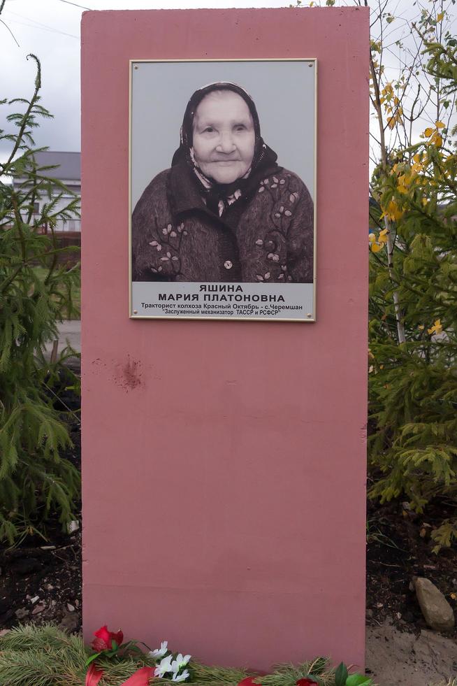 ::Черемшанский район g2id87109