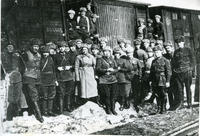 Фотографии для статей