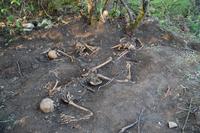 Поисковая экспедиция в Севастополь