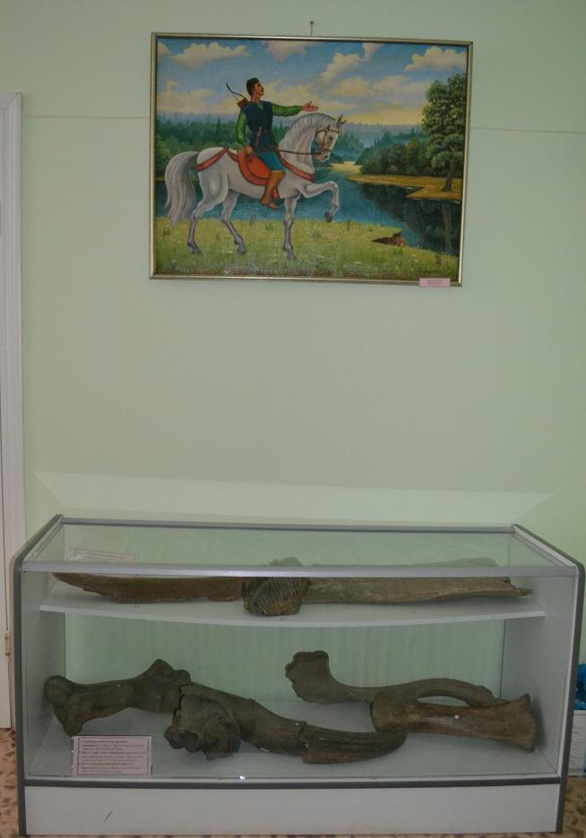 Фрагмент экспозиции Музея истории и культурного наследия Агрызского муниципального района РТ. 2014::Фрагмент экспозиции краеведческого музея и филиалов g2id90423