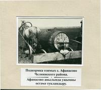 Подкормка озимых в колхозе 12 лет Октября. с.Афанасово Челнинского района. 3 мая 1936 г.