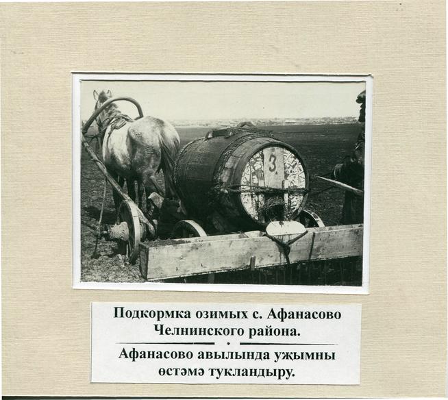 Подкормка озимых в колхозе 12 лет Октября. с.Афанасово Челнинского района. 3 мая 1936 г.::Фото, предоставленные музеем g2id90546
