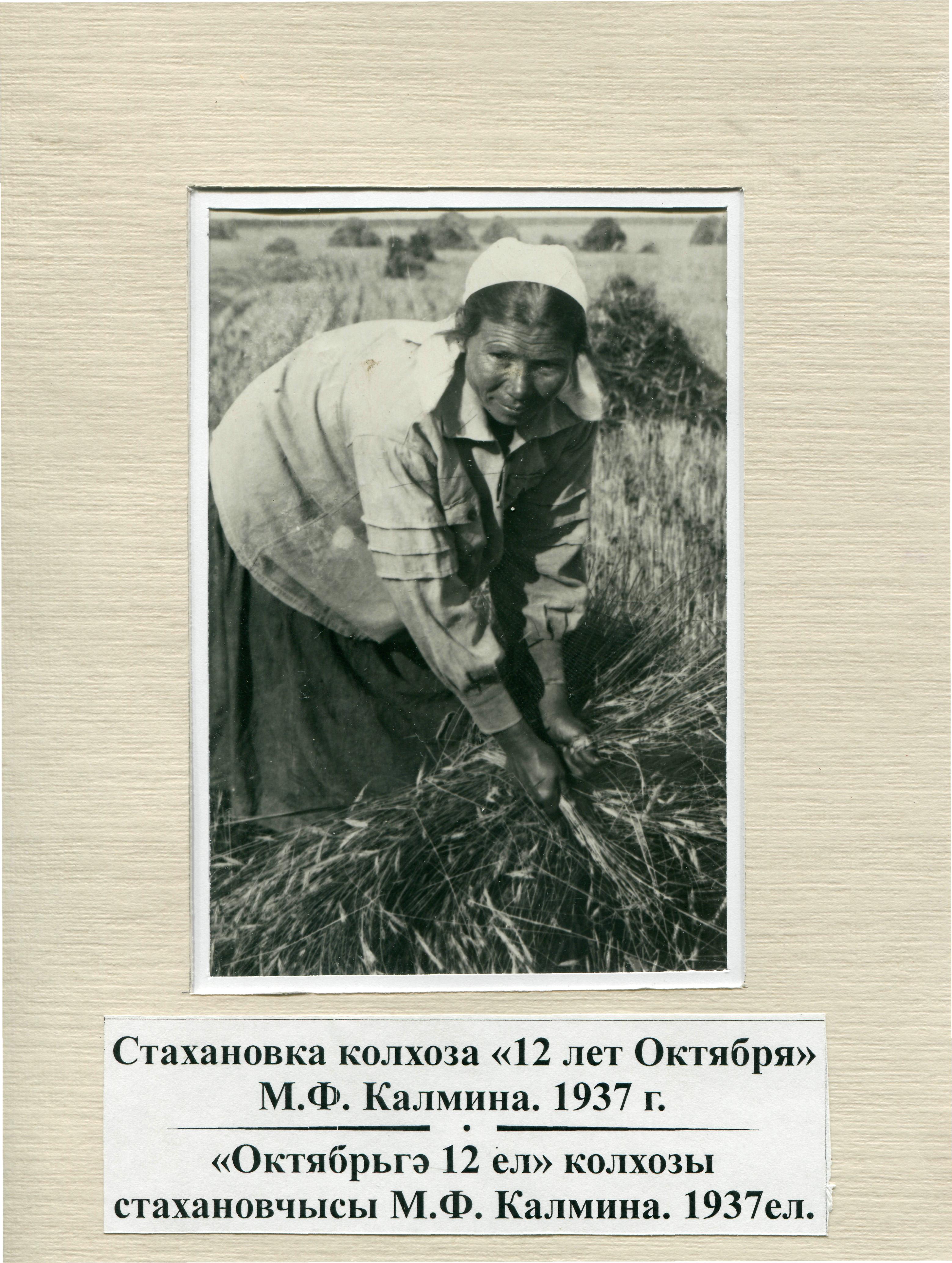 деревня колхоз. малинина прасковья андреевна председатель колхоза. колхоз 12 октября. левченко михаил никифорович 1914г рождения. 12 колхоз.
