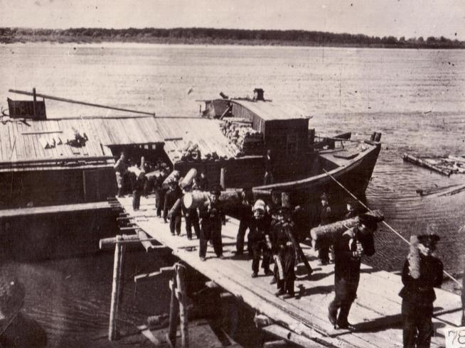 Фото. Суворовцы на заготовке дров .1945::Фотографии, предоставленные музеем g2id96836