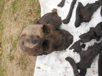 Земля Спасского района хранит свои тайны (2)