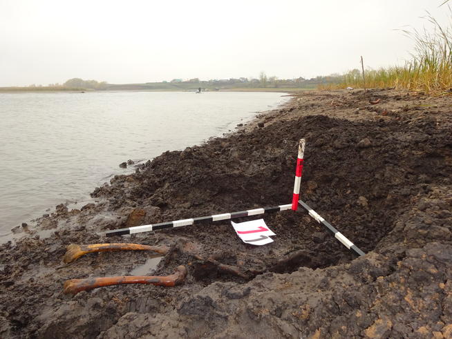 Один из бойцов погибший в 1918 году у с.Измери (1)::Поисковый отряд Спасского района "Булгары" g2id97696