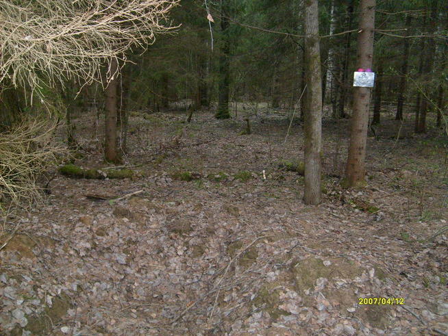 Место гибели земляка Нефедова во Ржевской земле (1)::Альбом по ключевому слову: ё g2id97754