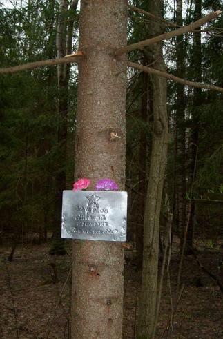 Место гибели земляка Нефедова во Ржевской земле::Поисковый отряд Спасского района "Булгары" g2id97758