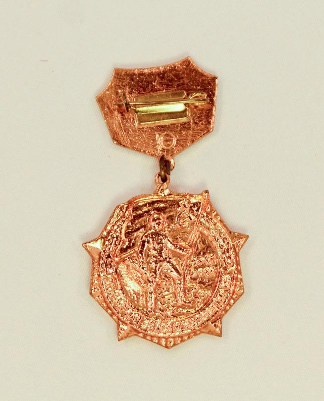 Знак юбилейный  25 лет Победы в Великой Отечественной войне Сафиуллина Г.Б. - Героя Советского Союза.СССР.Эмаль,металл,штамповка::Награды g2id99142