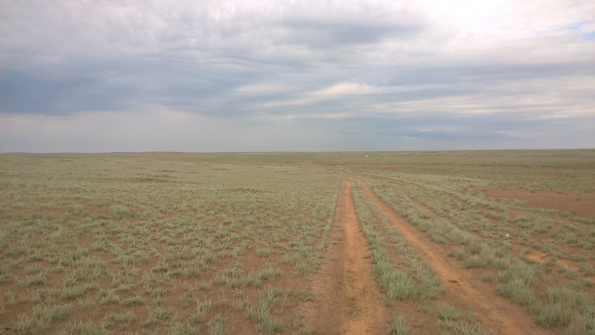 Калмыцкая степь