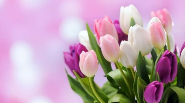 Жительница деревни Данышево получила поздравления от Президента РФ В.В.Путина